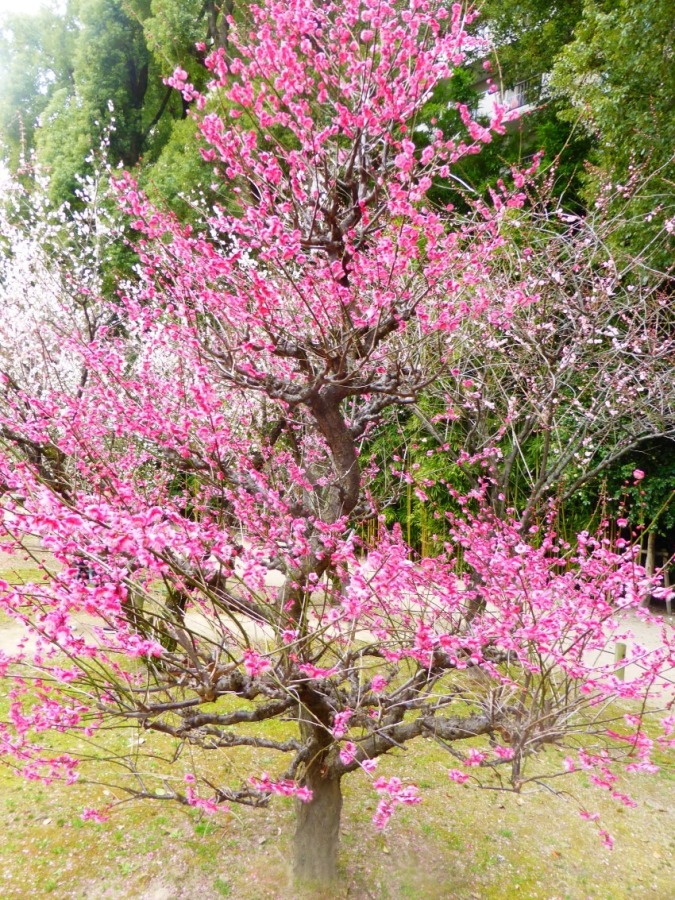 令和５年８月１9日の日記   　 ◎いわゆる著名人に会う◎