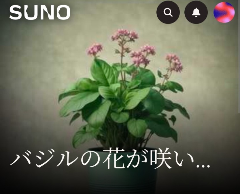 AI楽曲2『バジルの花が咲いたら』