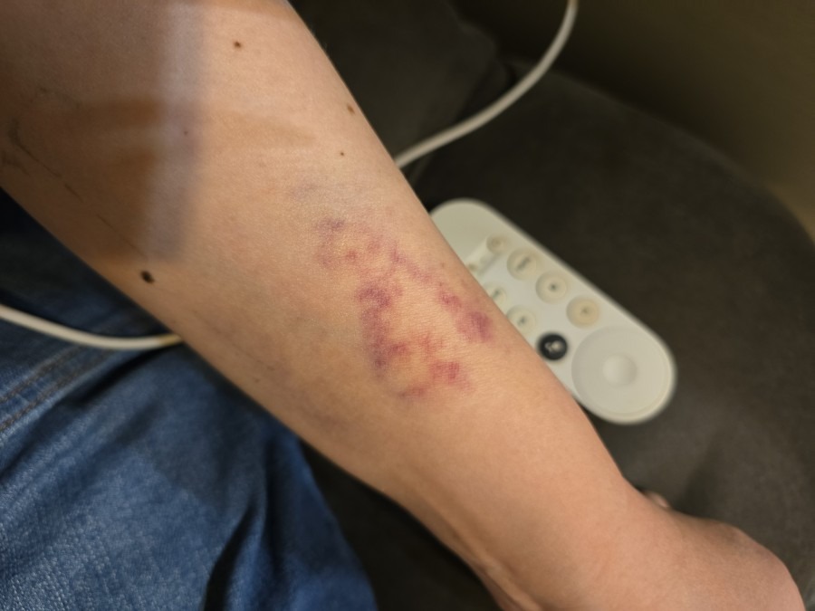 生きてるなぁ(笑)