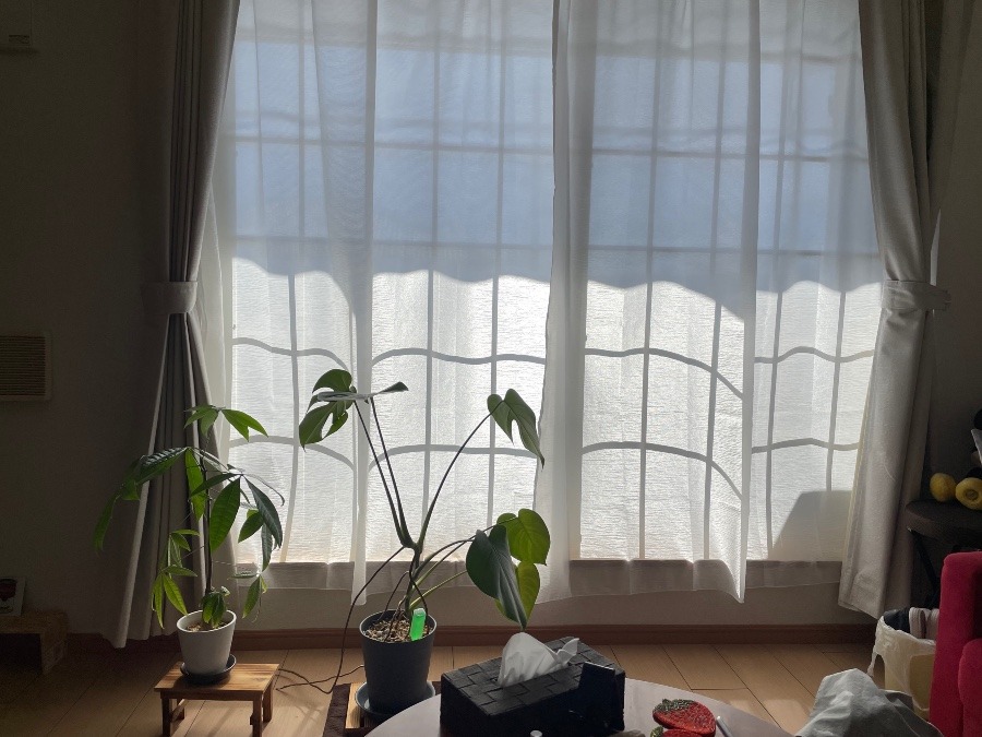 20251109湯たんぽ