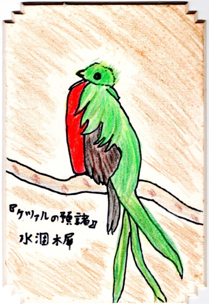 【読みに来てくださーい👋】カクヨムコン11 間もなく読者選考期間!