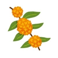 金木犀　みかこ